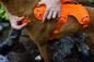 Preview: Ruffwear Web Master Hundegeschirr Blaze Orange Gr. L/XL Preview: Ruffwear Web Master Hundegeschirr Blaze Orange Gr. L/XL